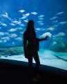 0408-1357 Melbourne aquarium (4085157)